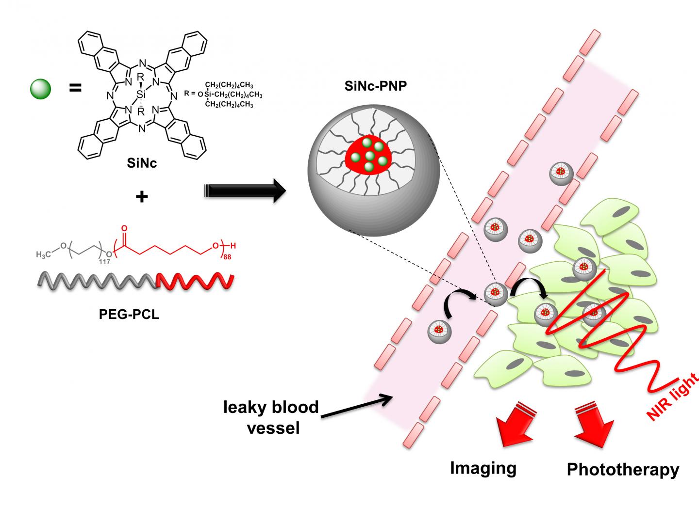 Phototherapy System