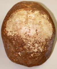 Manot Calotte