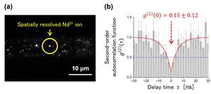 Rare-earth ion as a single-photon source