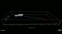 Movie Shows How Cell Gains Traction during Migration