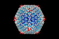 Engineered oncolytic adenovirus