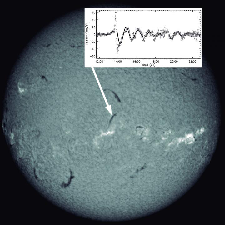 Image of the Sun from GONG Telescopes Network in H&#945; Filter
