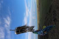 Horse Hair Banner