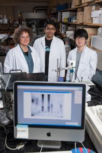 Georgia Tech Researchers