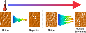 Fig 2: