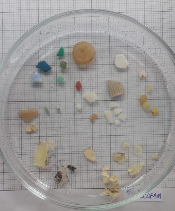 Bits of collected plastic