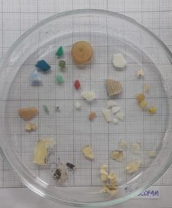 Bits of collected plastic