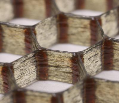 3-D Printed Honeycomb Structure