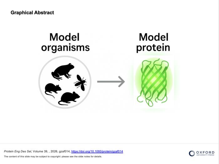 Toward a Shared Model Protein Framework