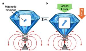 Schematic of the observed movement