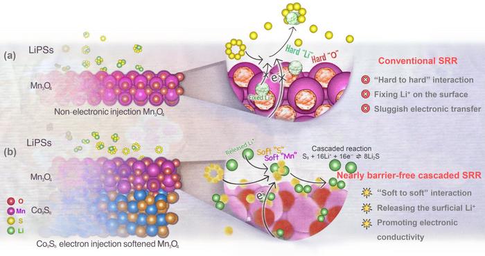 Schematic illustration of LiPSs conversion on Co9S8-Mn3O4@CNF.