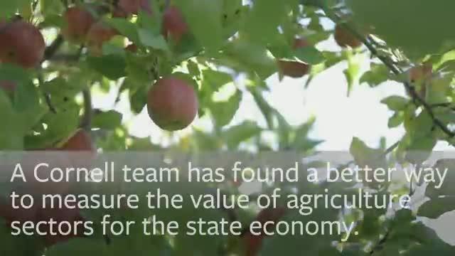 Study Reveals NYS Apple Industry's True Economic Impact