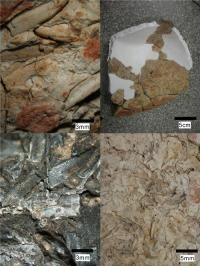 Pottery Sherds
