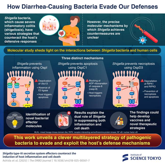 How diarrhea-causing bacteria evade our defenses