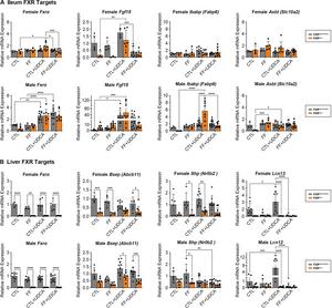 FXR targets in the liver and ileum.