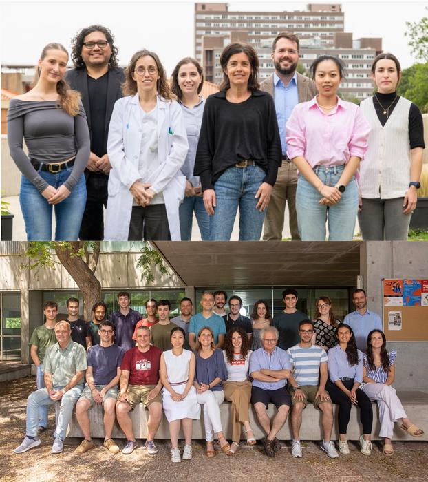 Research teams at IGTP and UPC