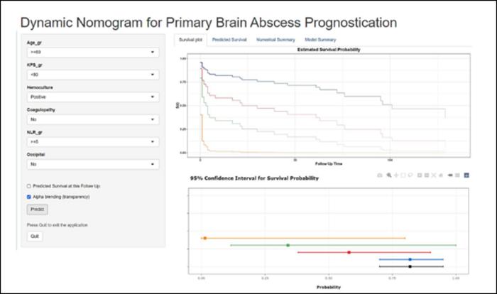 Nomogram to Forecast Long-Term Survival in Brain Abscess Cases