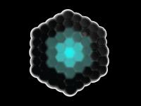 Cell Structure