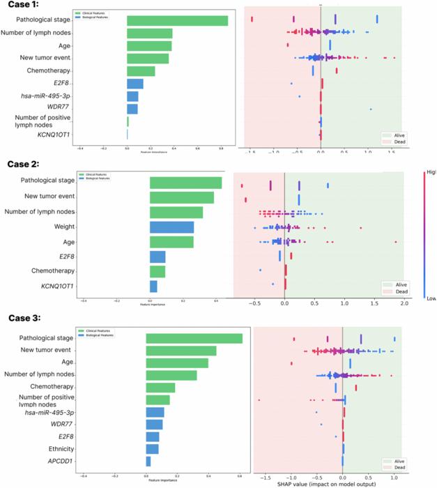 Machine learning-based survival prediction in colorectal cancer combining clinical and biological features