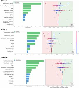 Machine learning-based survival prediction in colorectal cancer combining clinical and biological features