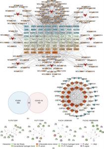 Network pharmacology analysis of the effect of FZJDD on severe COVID-19.