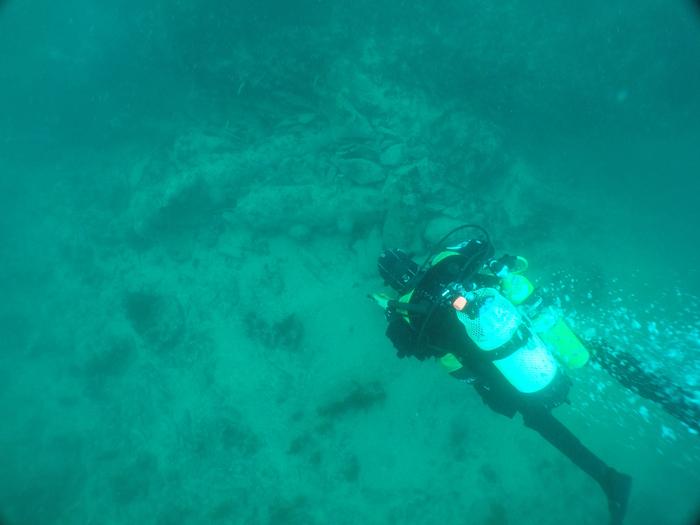 Diver