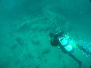 Diver