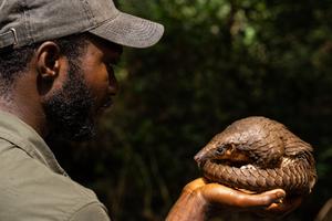 Charles Emogor holding a white-bellied pangolin retrieved from a hunter who participated in the study.