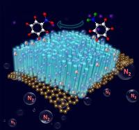 Photocatalytic Material