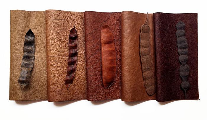 Mabe Bio: Brazilian biodiversity gives rise to new textile materials