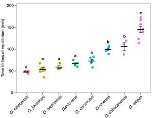 Comparison of cold tolerance (time until loss of equilibrium) among closely related medaka species
