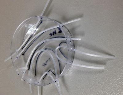 Device Mold
