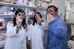The Researchers