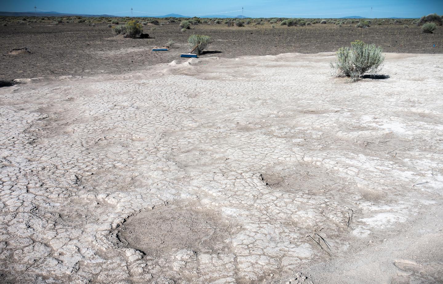 Mammoth Trackway in South Central Oregon