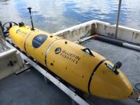 Unmanned Marine Vehicle Platforms