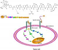 Synthesis and Structure of New Nuclear Medicine Tracer