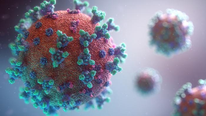 SARS-CoV-2 antibody profiles reveal clinical clues for long COVID management
