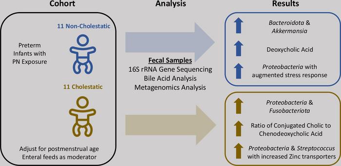Fecal Microbiome and Bile Acid Profiles Differ in Preterm Infants with Parenteral Nutrition-associated Cholestasis