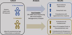 Fecal Microbiome and Bile Acid Profiles Differ in Preterm Infants with Parenteral Nutrition-associated Cholestasis