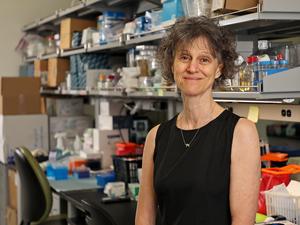 Veronique Dartois, Ph.D., a member of the Hackensack Meridian Center for Discovery and Innovation (CDI)