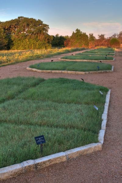 Lawn Research Plots