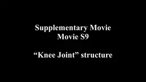 Knee Joint Structure with Breakthrough Resin Technology