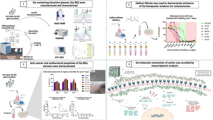 Figure 1. Graphical abstract summarising study methodology and its main findings.