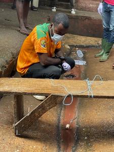 Testing water runoff from urban market