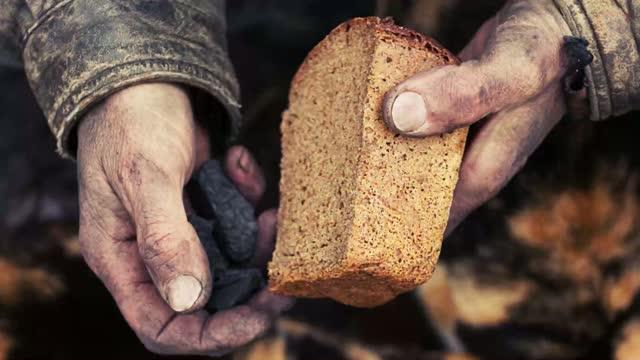 Ray of Hope for More Abundant Wheat Crops