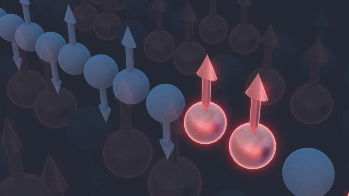 Subtle Spin: A Novel Study of Quantum Material Proves Theoretical Predictions