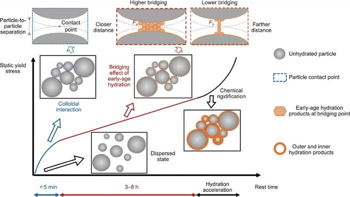 Microstructural view of the increase in static yield stress with rest time.
