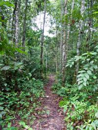 Habitat