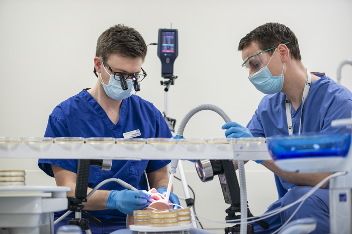 Student dentists in the lab