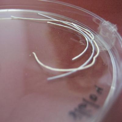 Scaffolding Fibers